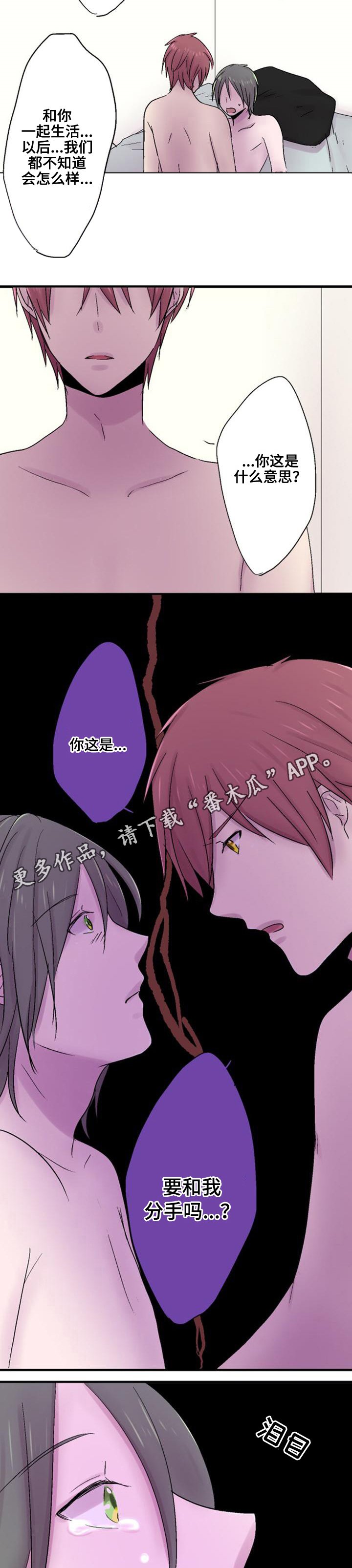 第42章：缘由