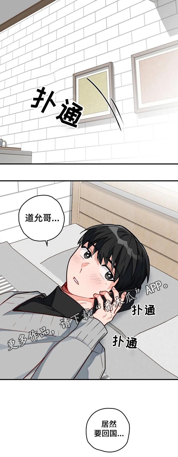 第15章：回国