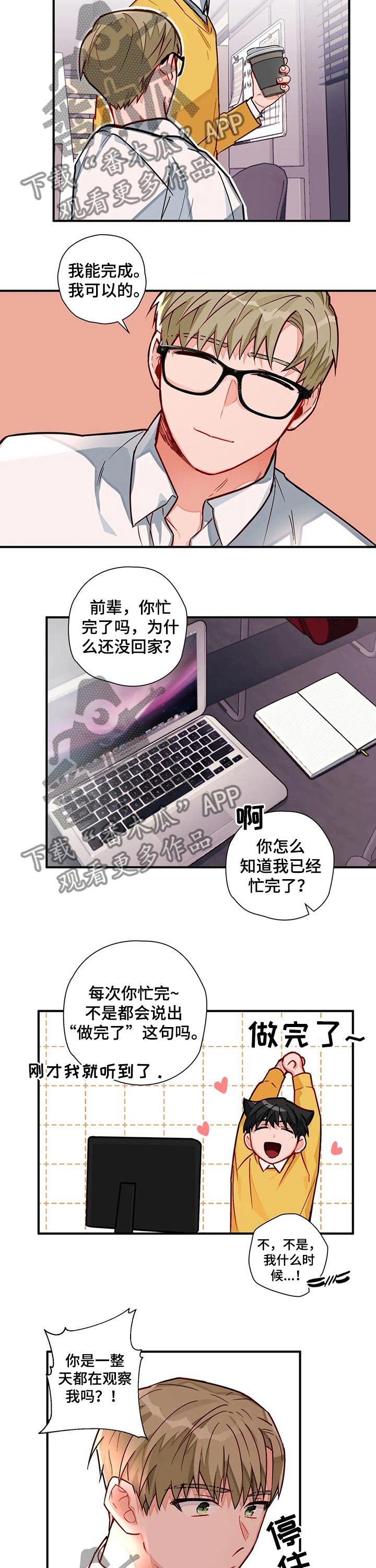 第17章：圈套