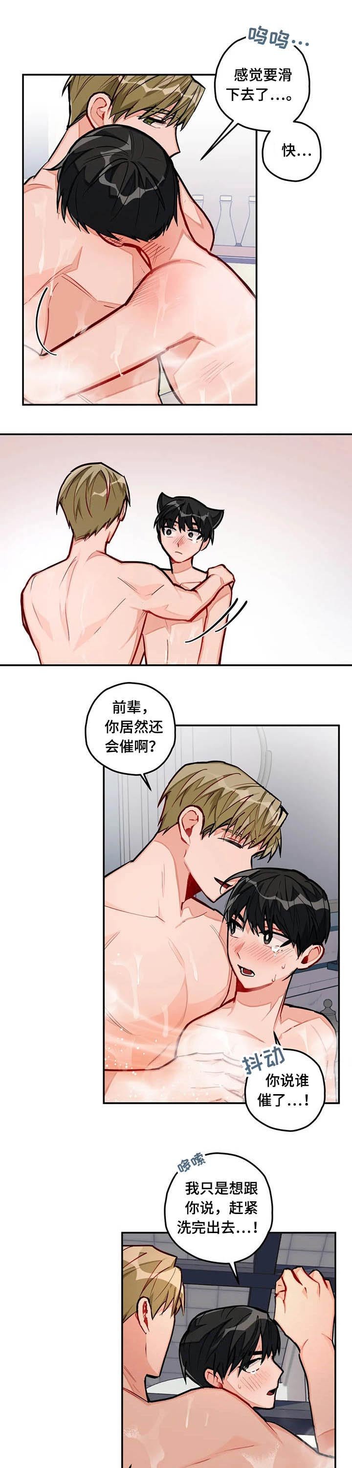 第32章：清洗