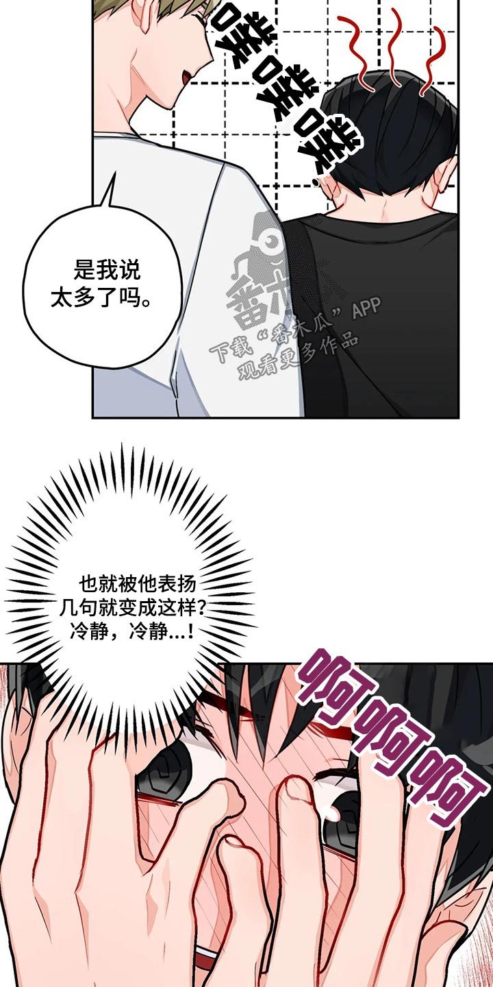 第37章：建议
