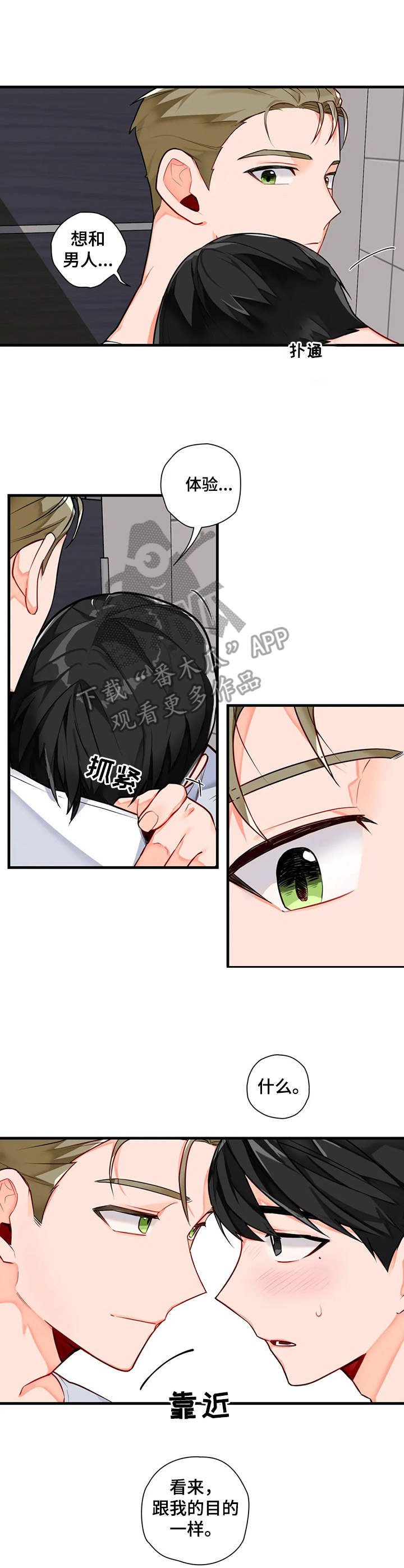 第4章：初稿