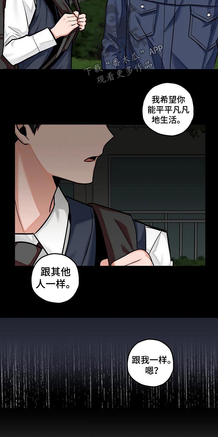 第41章：写作