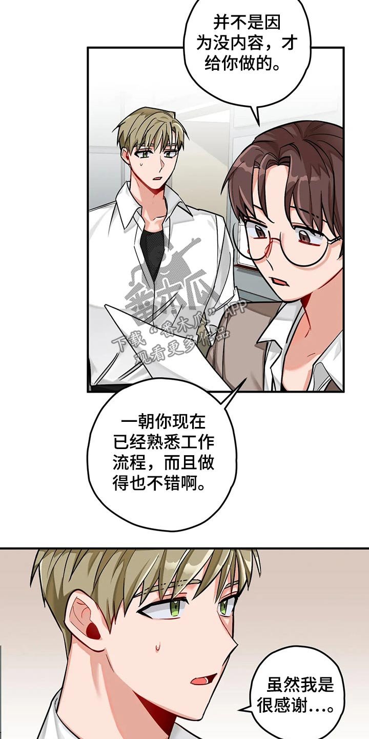 第41章：写作