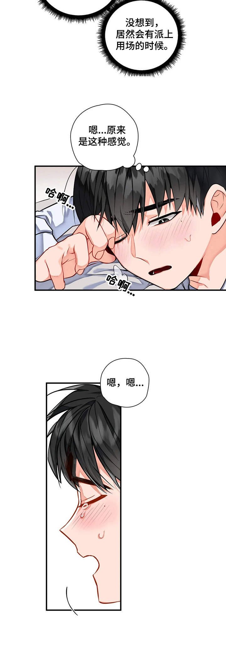 第5章：新人
