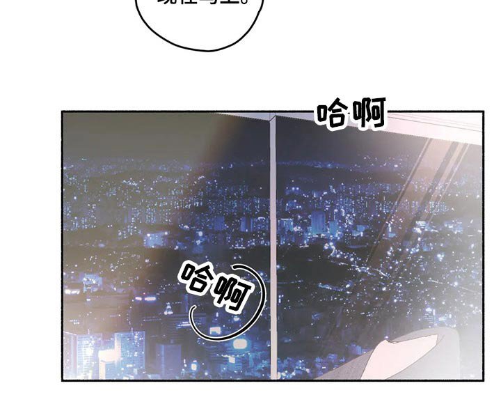 第52章：认清现实