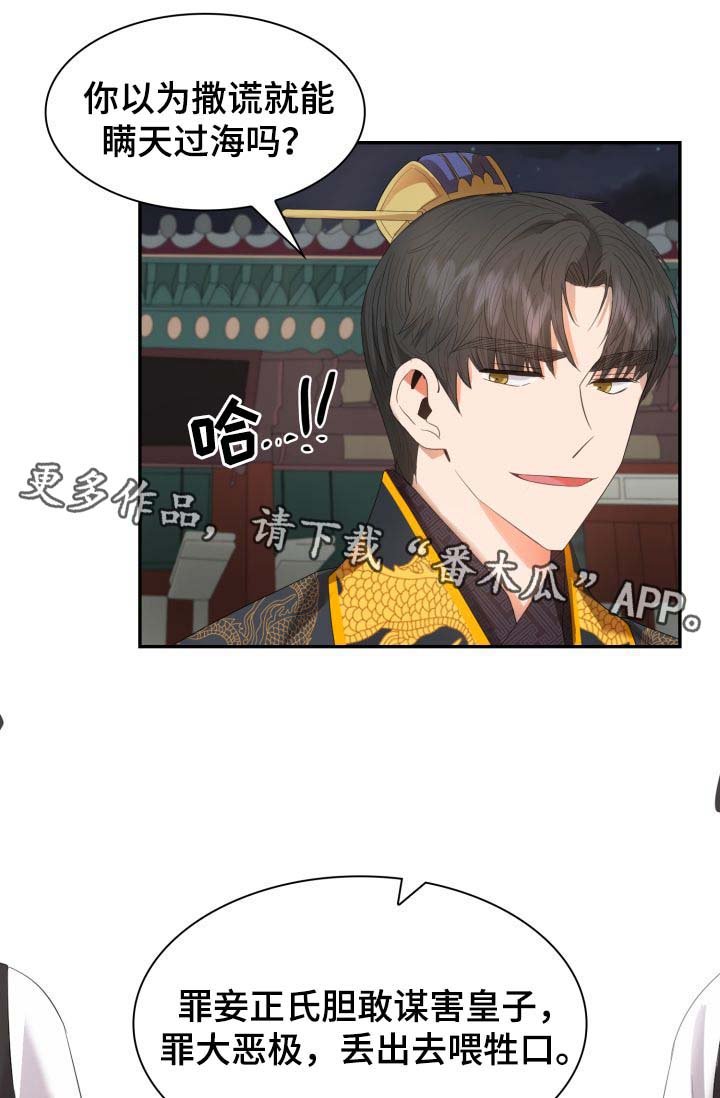 第28章：你是如何看待我的？