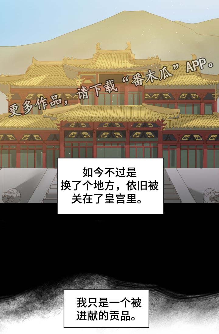 第28章：你是如何看待我的？