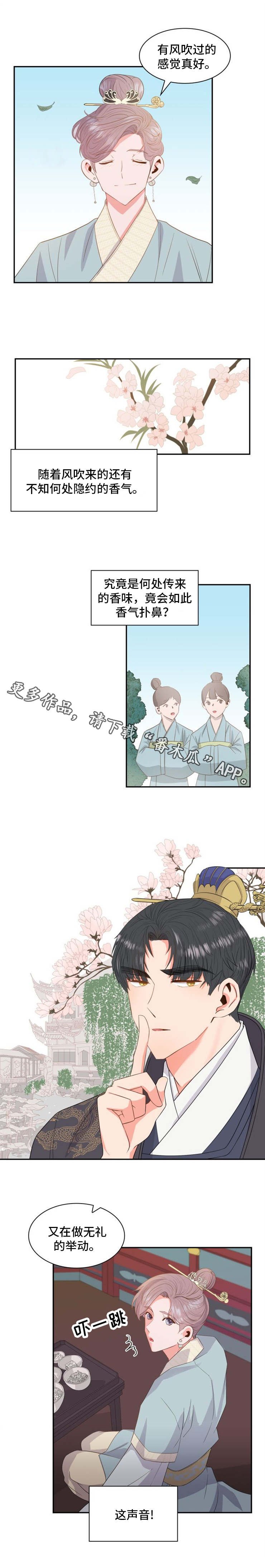 第5章：练习