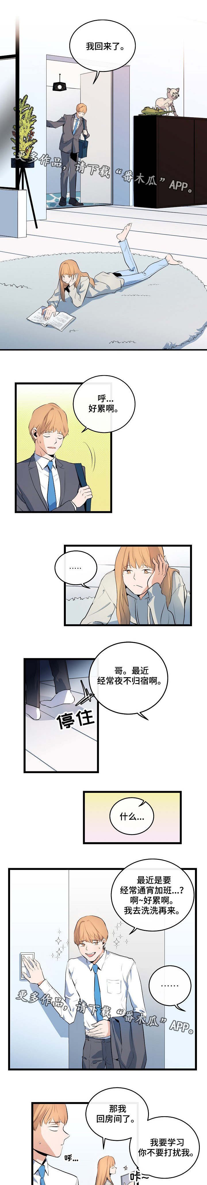 第19章：假装不懂
