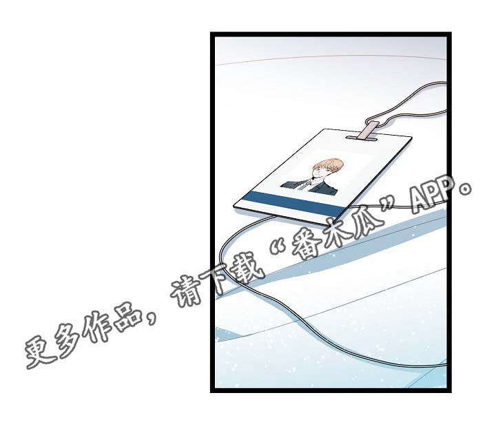 第55章：稳定的人生