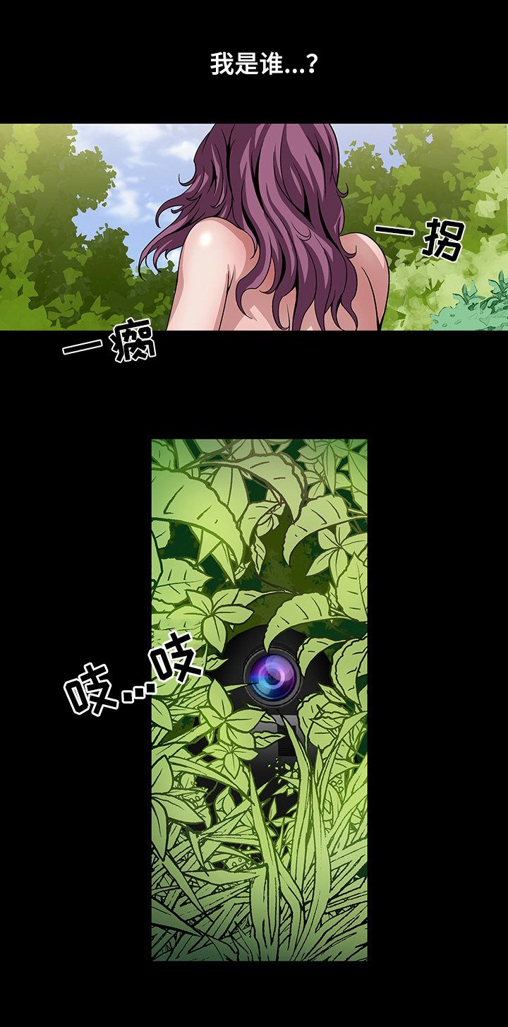 第19章：原始区域