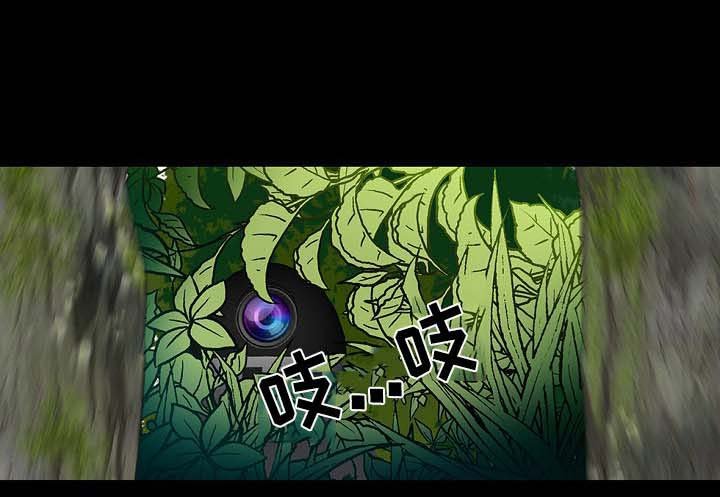 第21章：长途跋涉