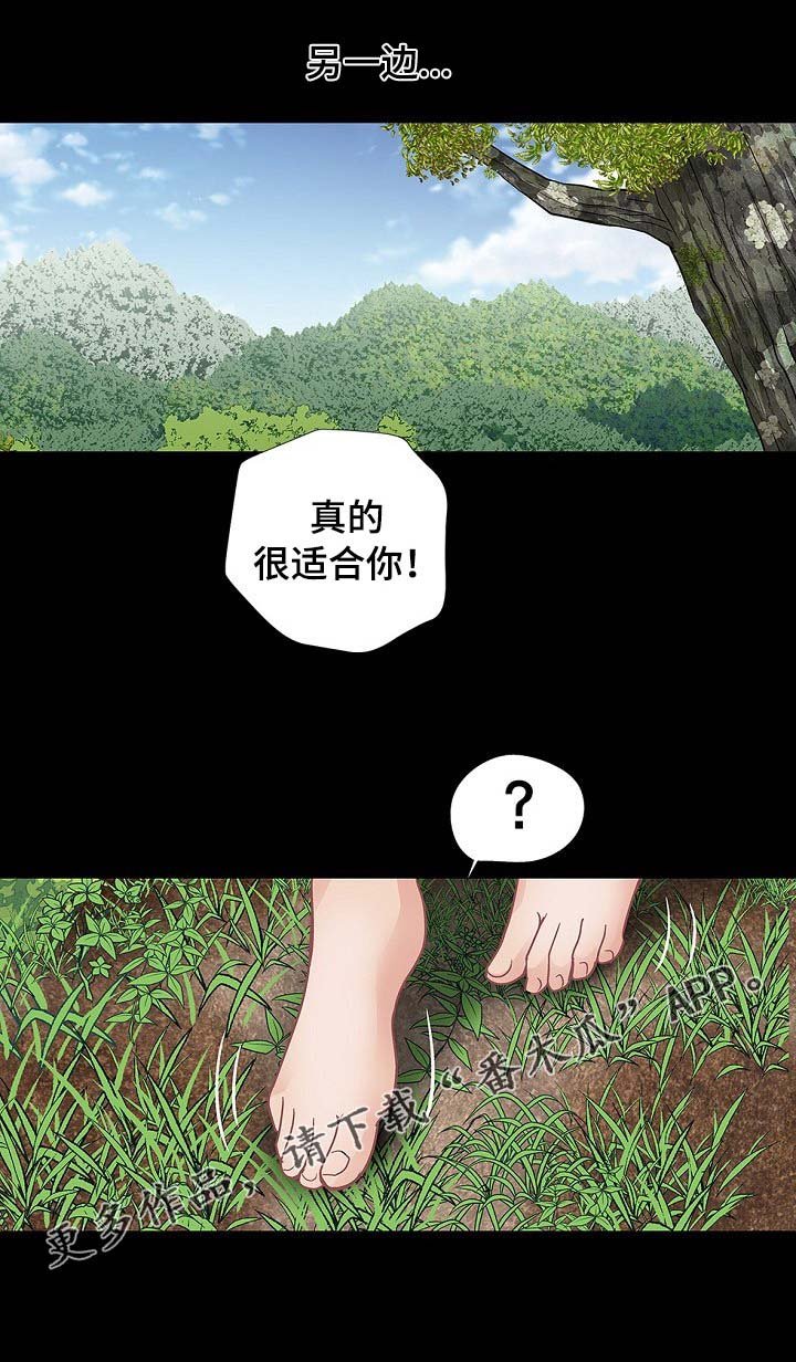 第34章：个人争霸赛
