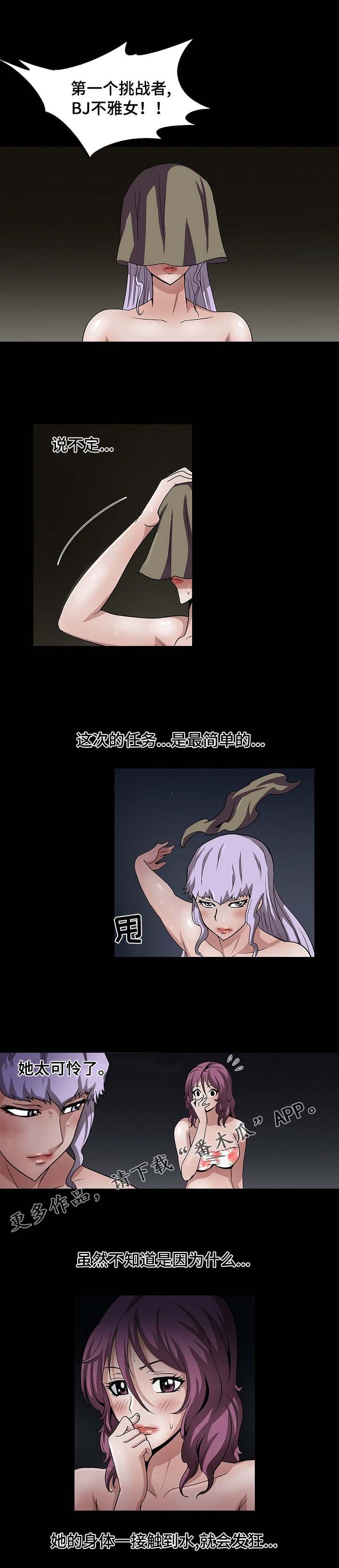 第37章：正式开始