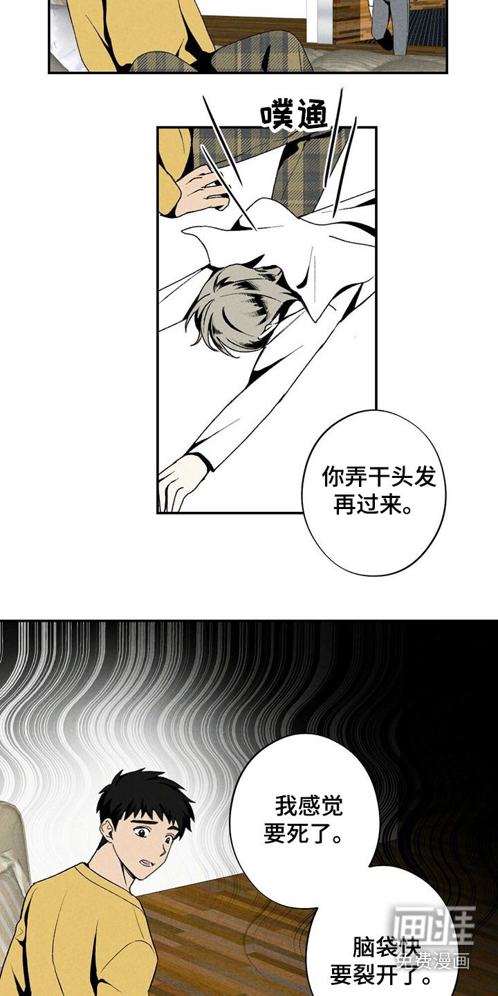 第114章：一起看