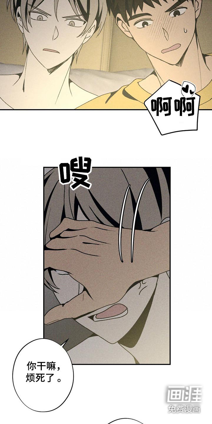 第114章：一起看