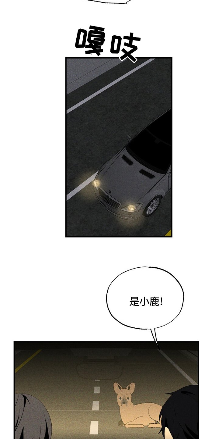 第60章：獐子
