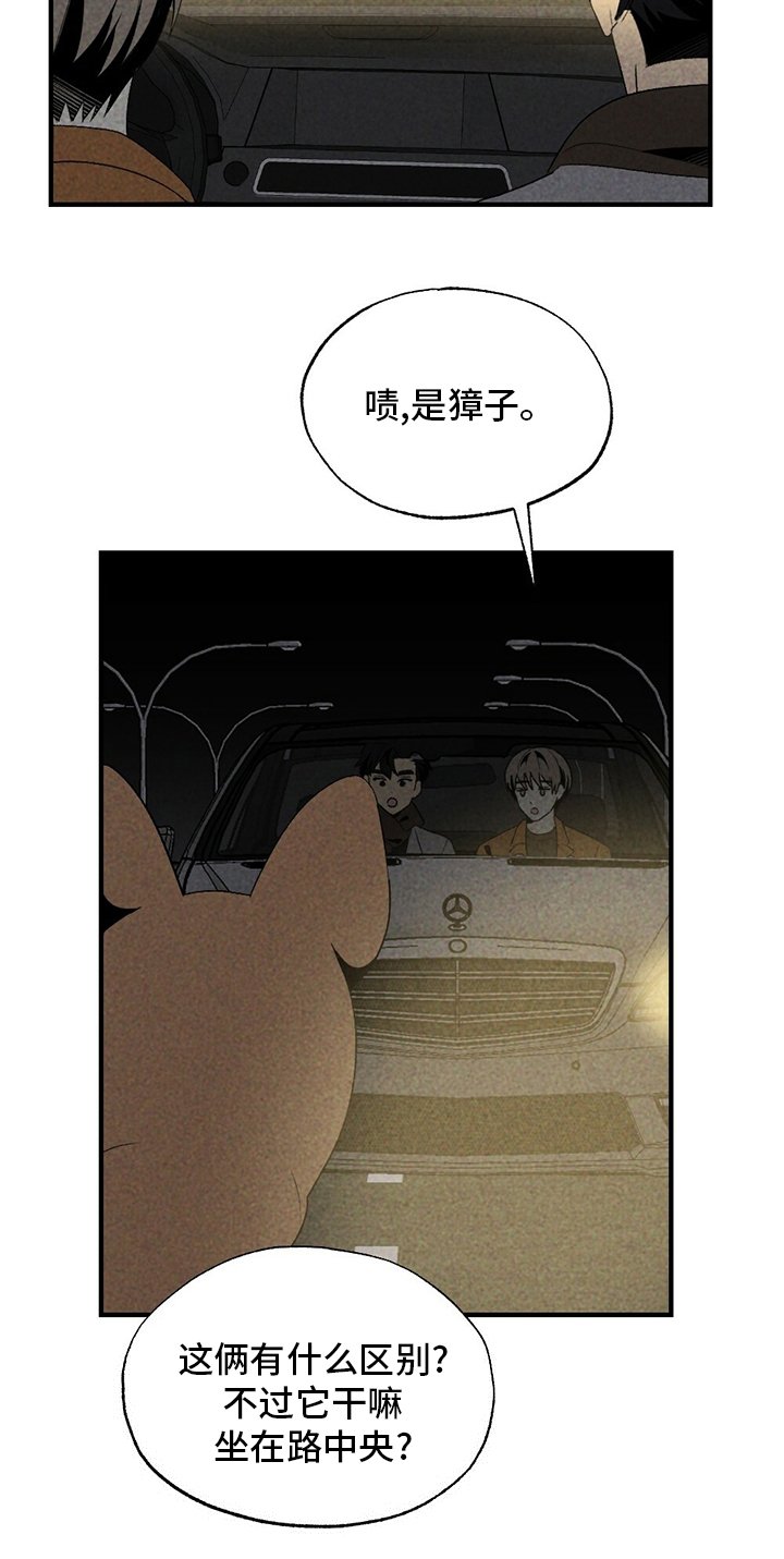 第60章：獐子