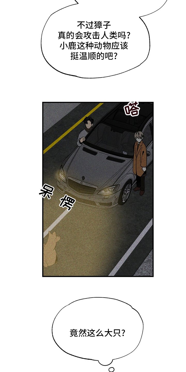 第60章：獐子