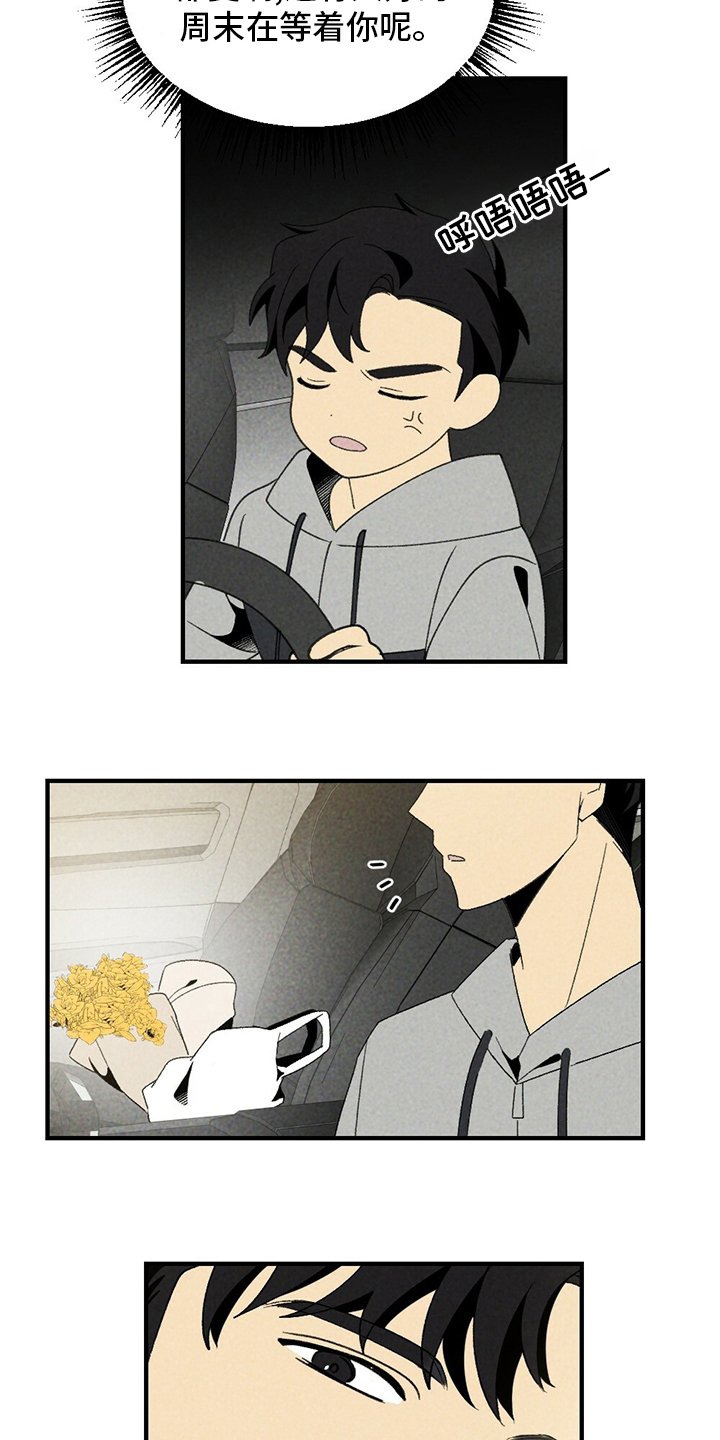 第64章：花儿