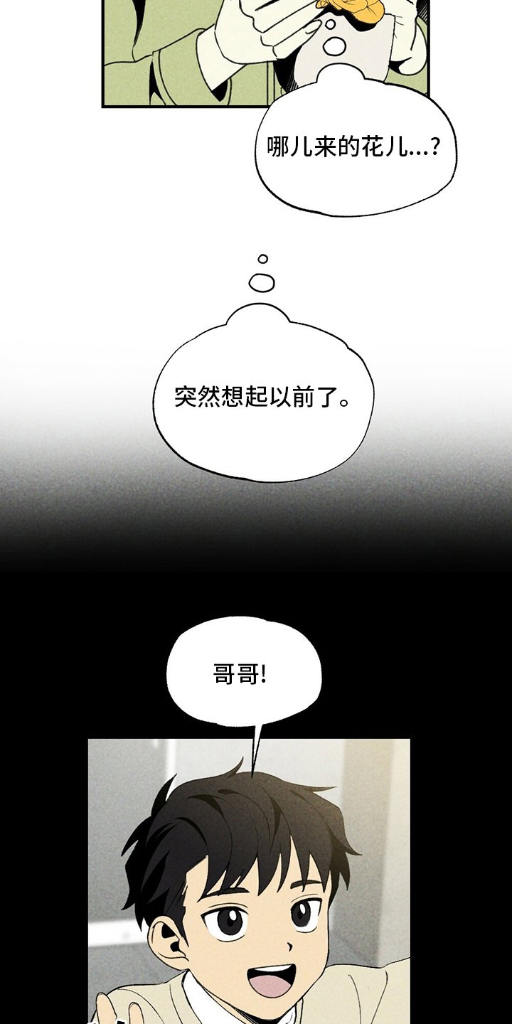 第64章：花儿