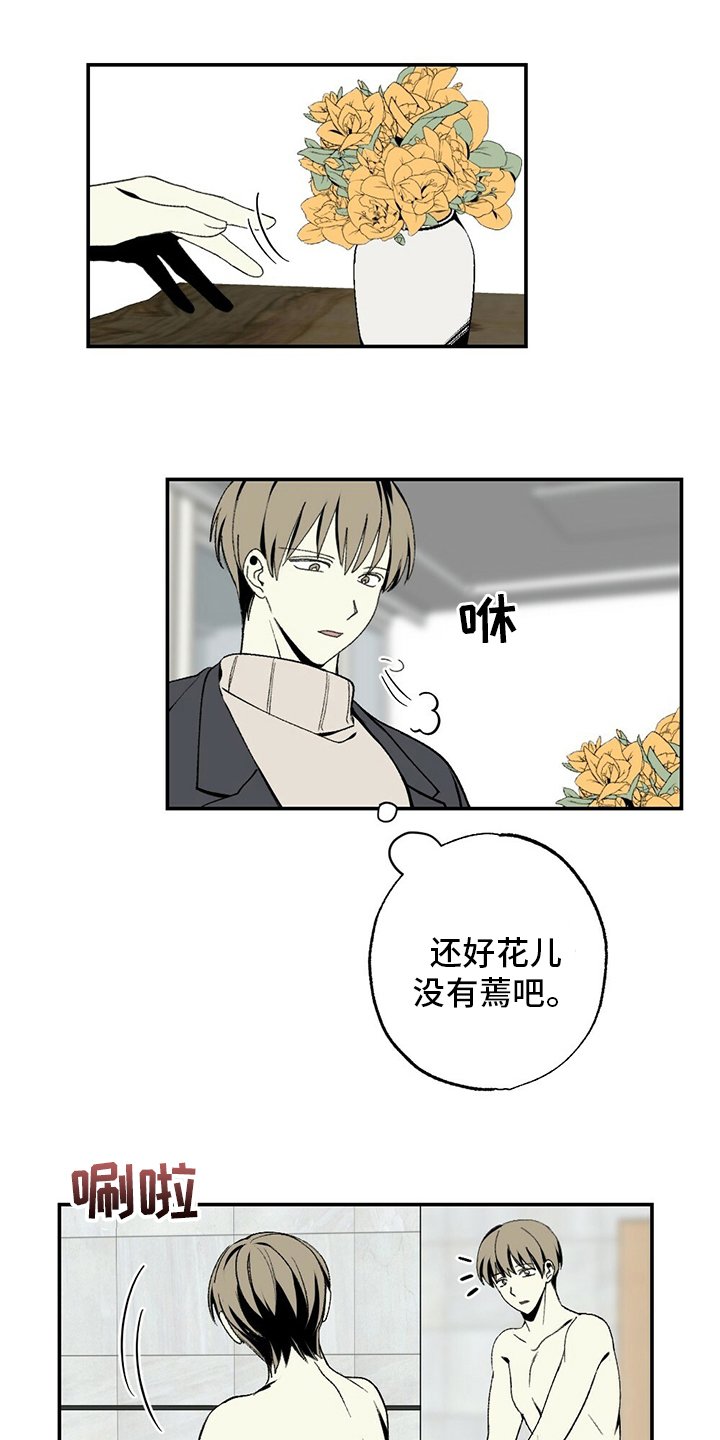第79章：蛋糕