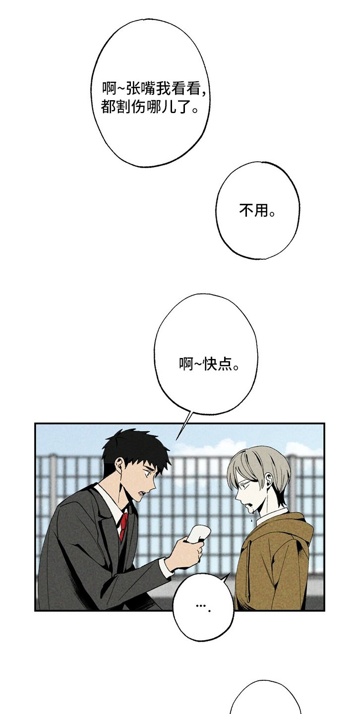 第81章：易拉罐