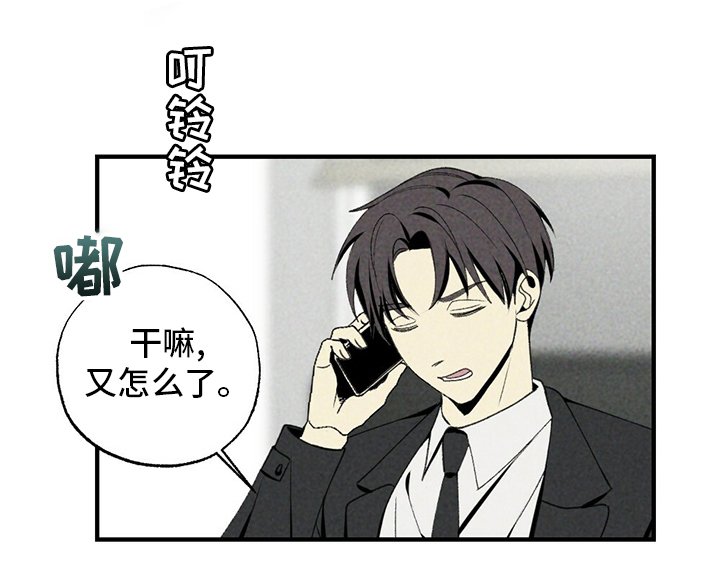 第84章：不用管他