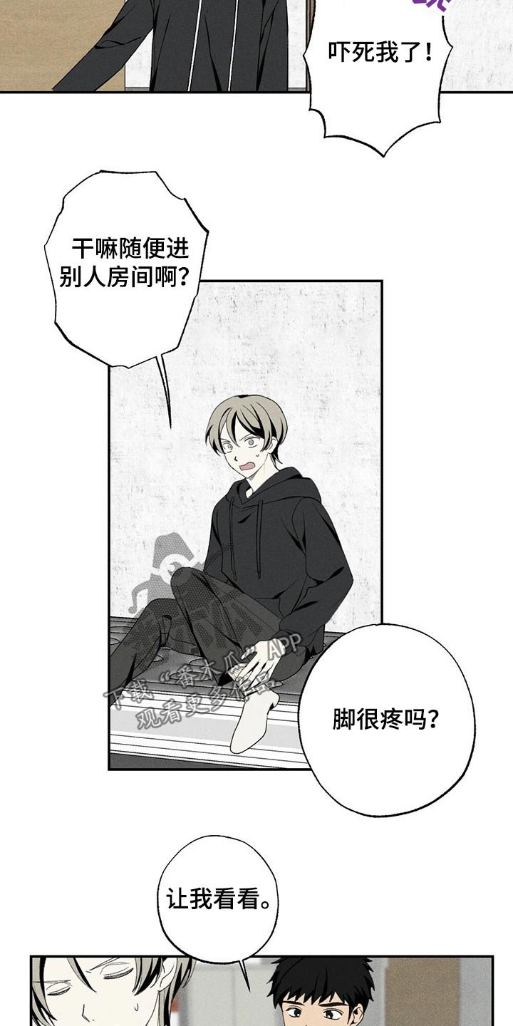 第86章：盒子