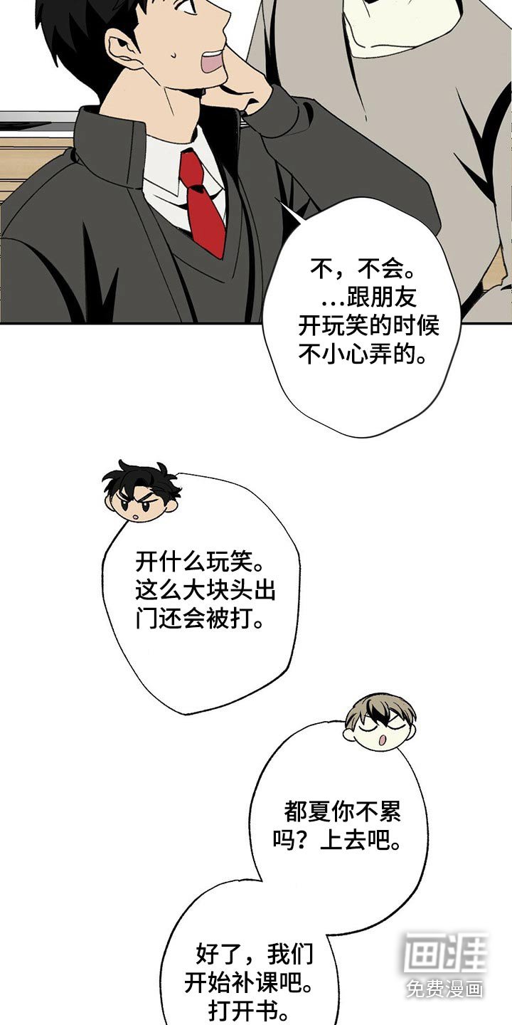 第99章：狗狗