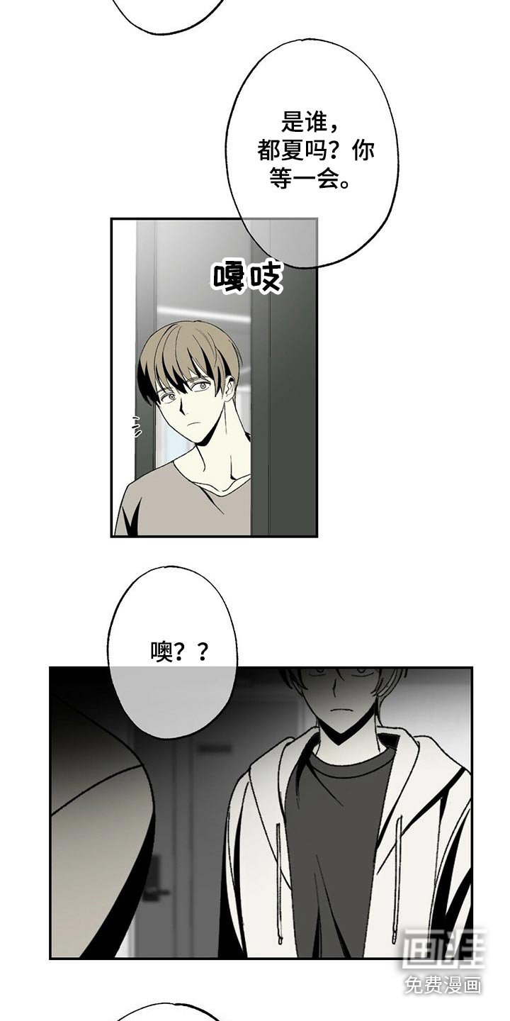 第99章：狗狗