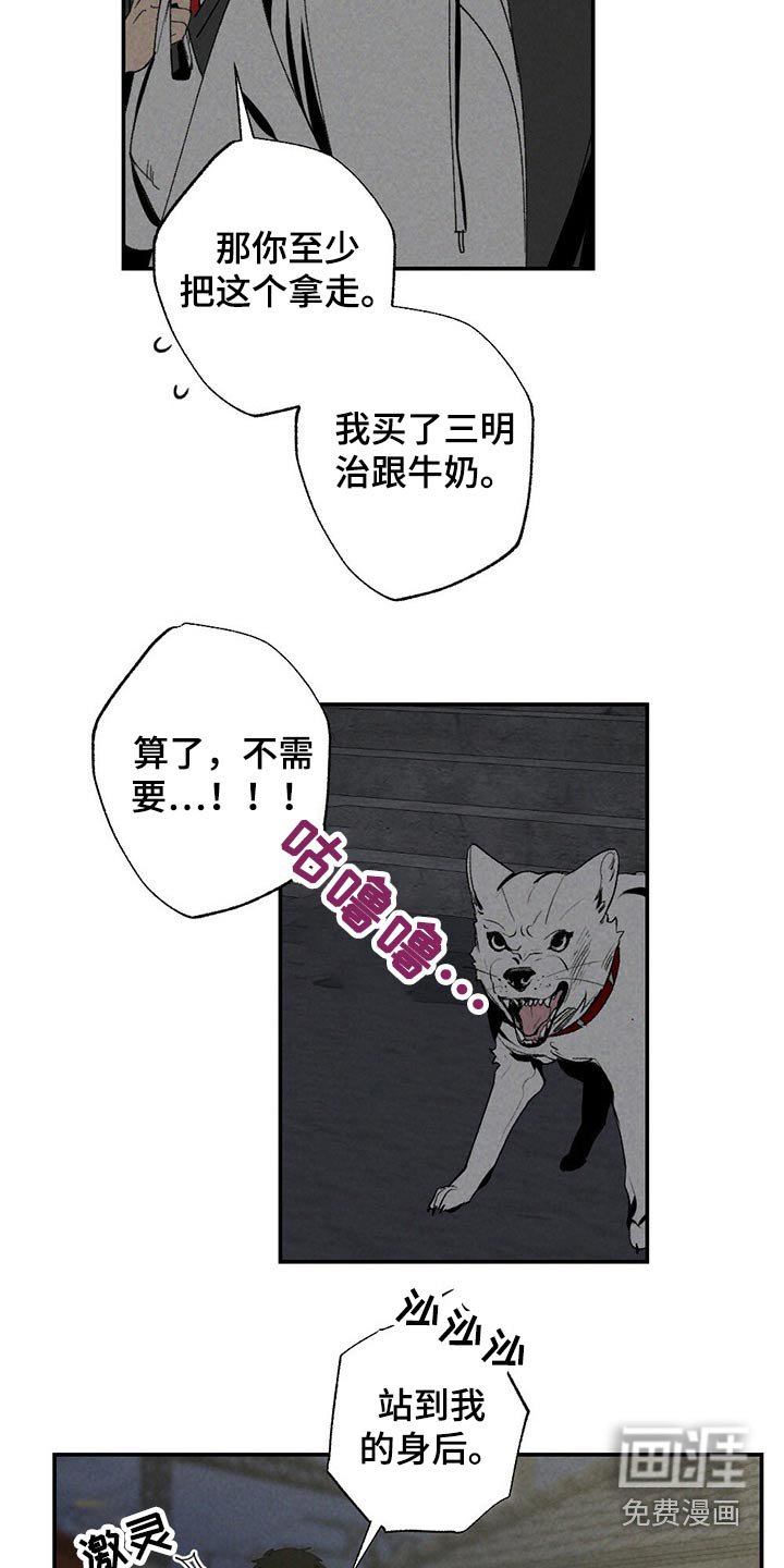 第99章：狗狗