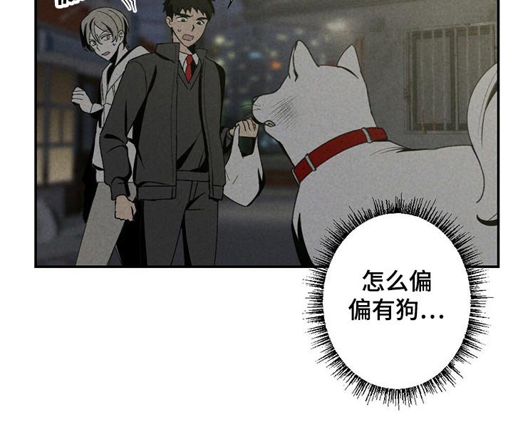 第99章：狗狗