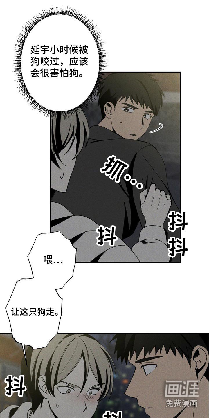 第99章：狗狗