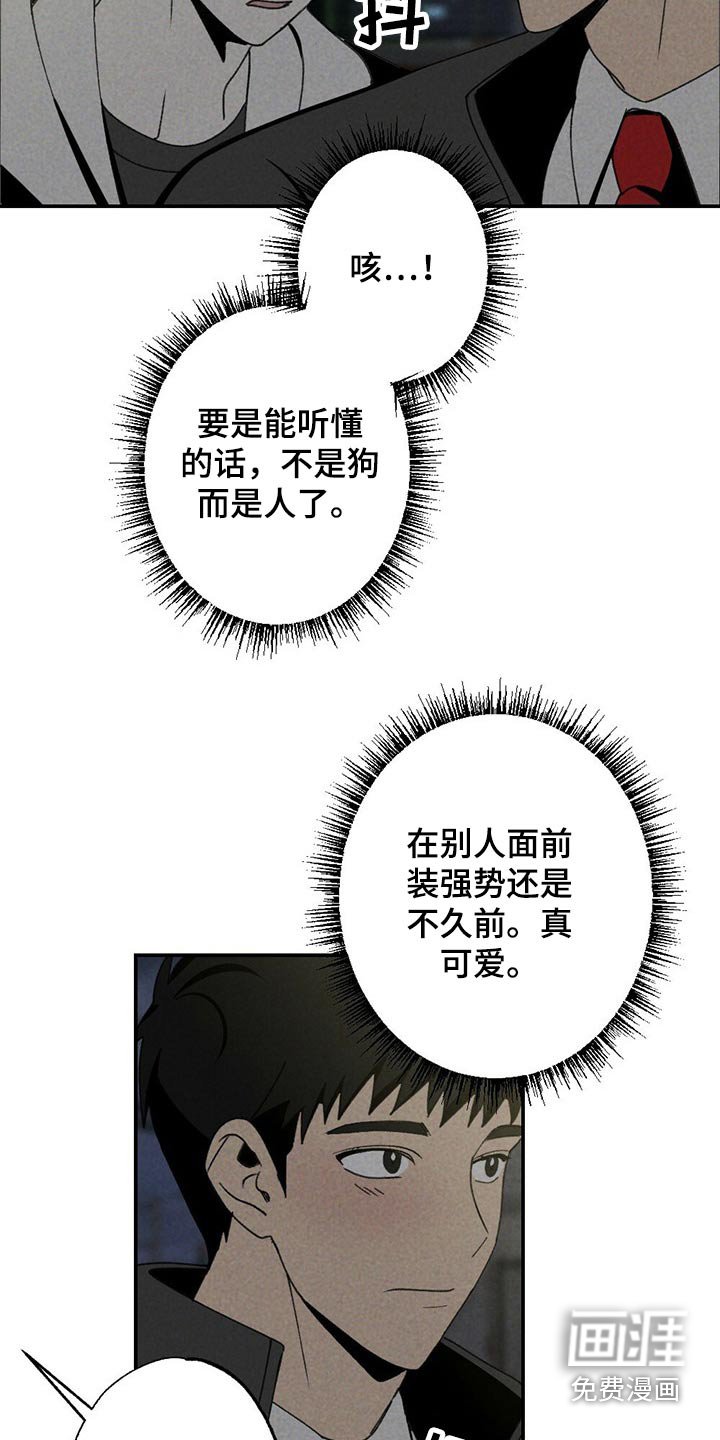 第99章：狗狗