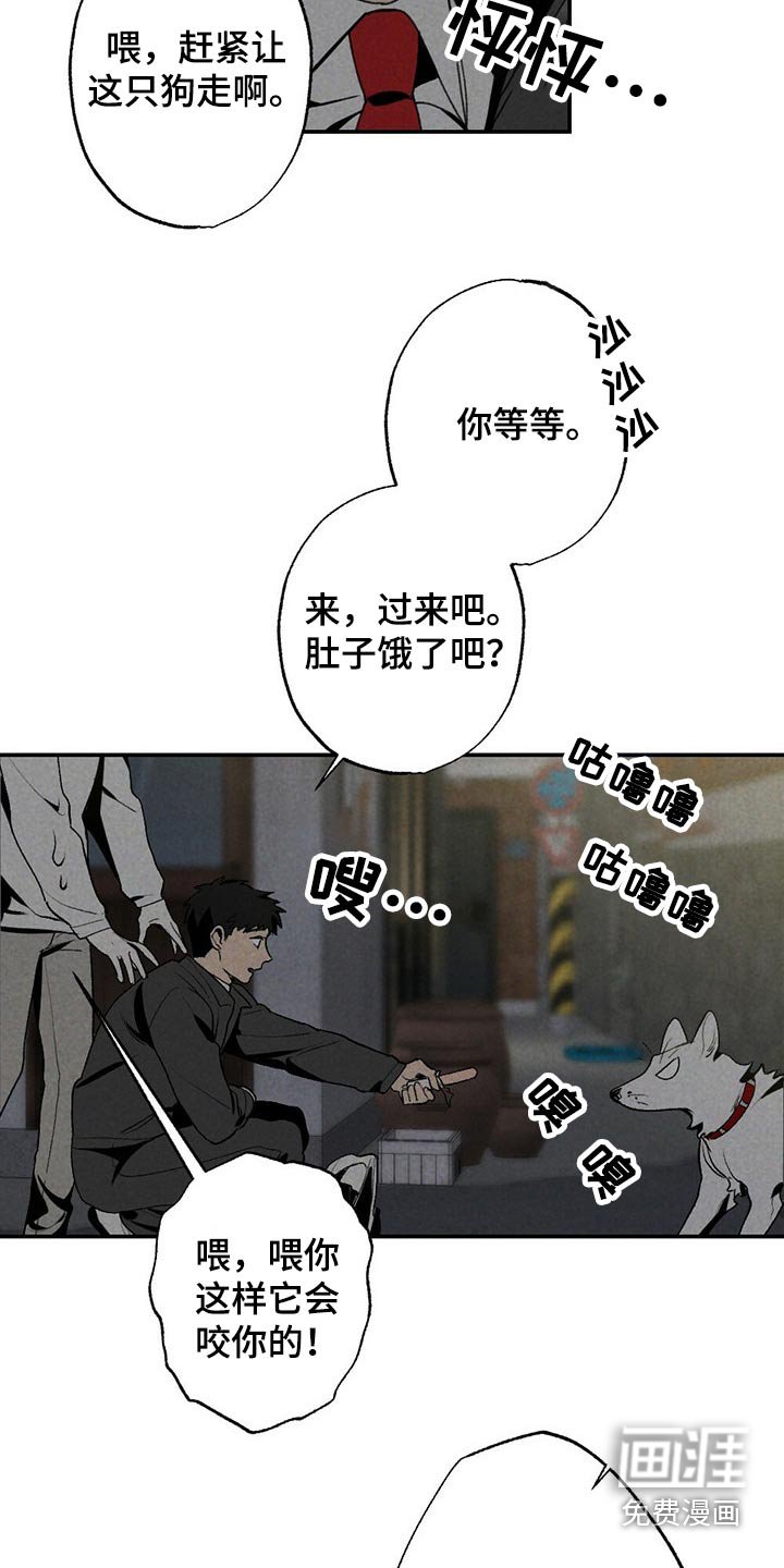 第99章：狗狗