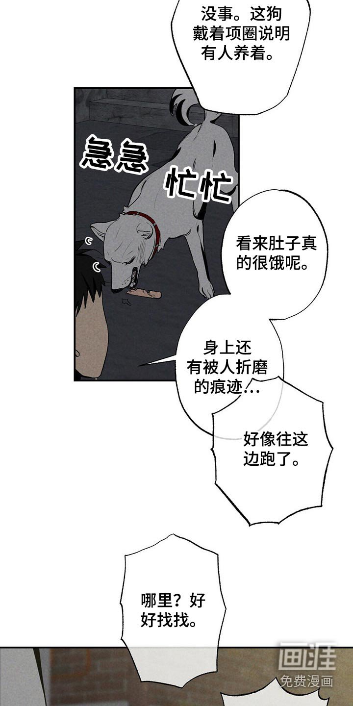 第99章：狗狗