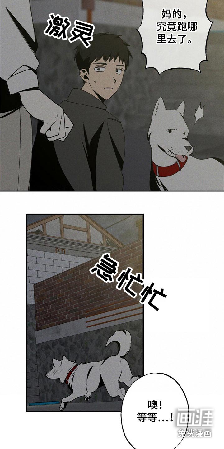 第99章：狗狗