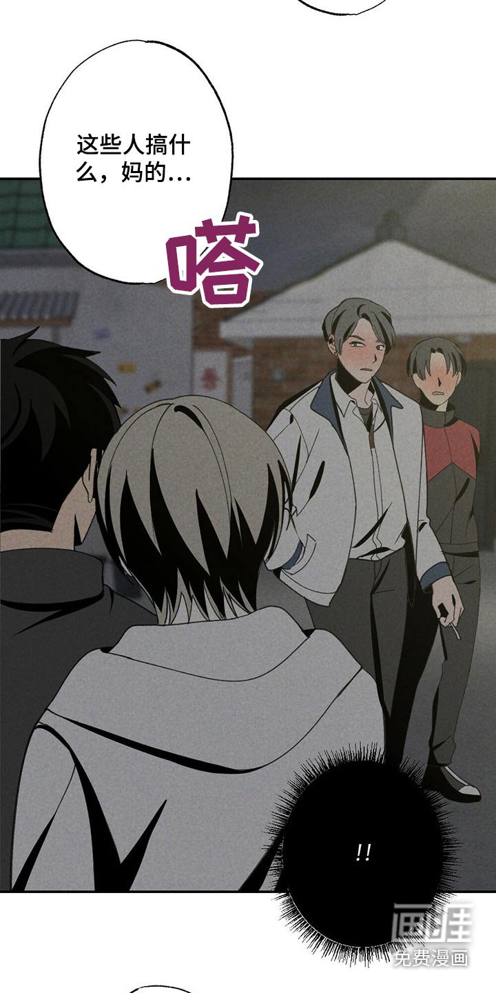 第99章：狗狗