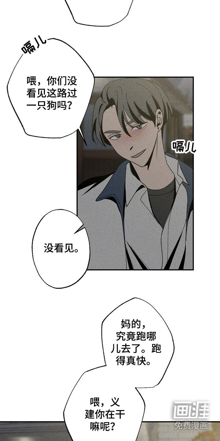 第99章：狗狗