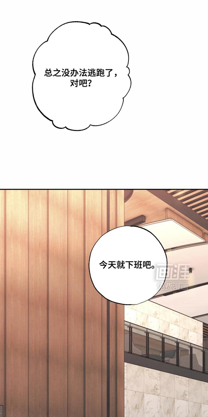 第25章：特别待遇