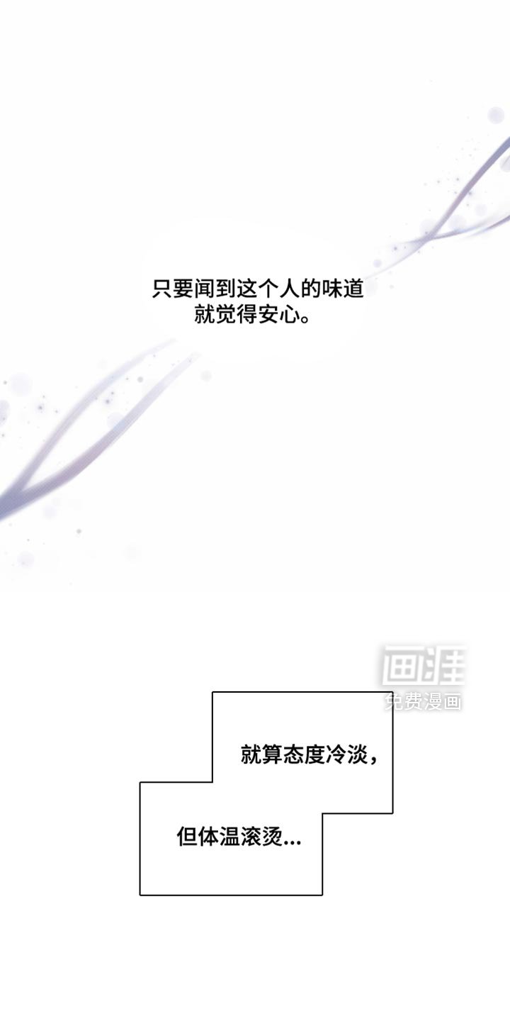第29章：打我的代价