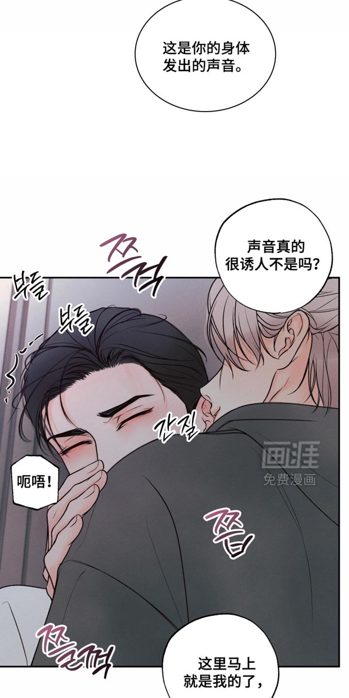 第29章：打我的代价