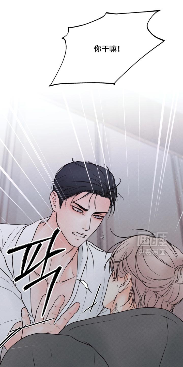 第29章：打我的代价