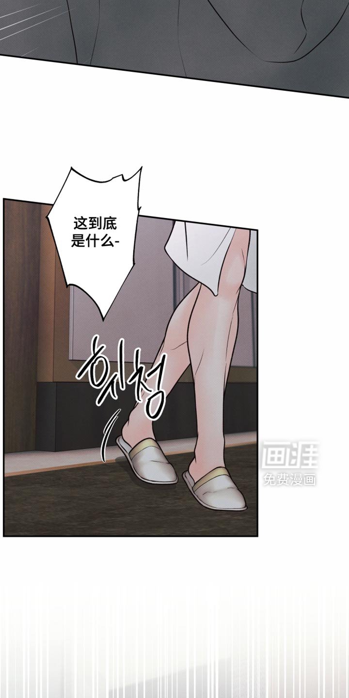 第29章：打我的代价