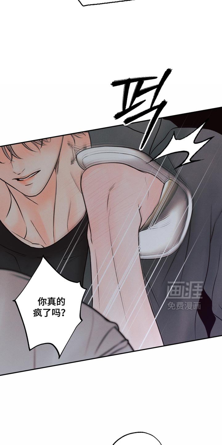 第29章：打我的代价