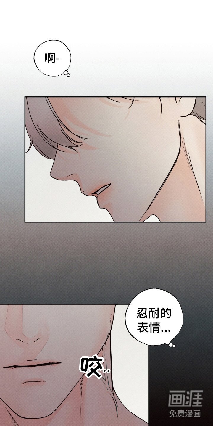 第6章：精彩的表情