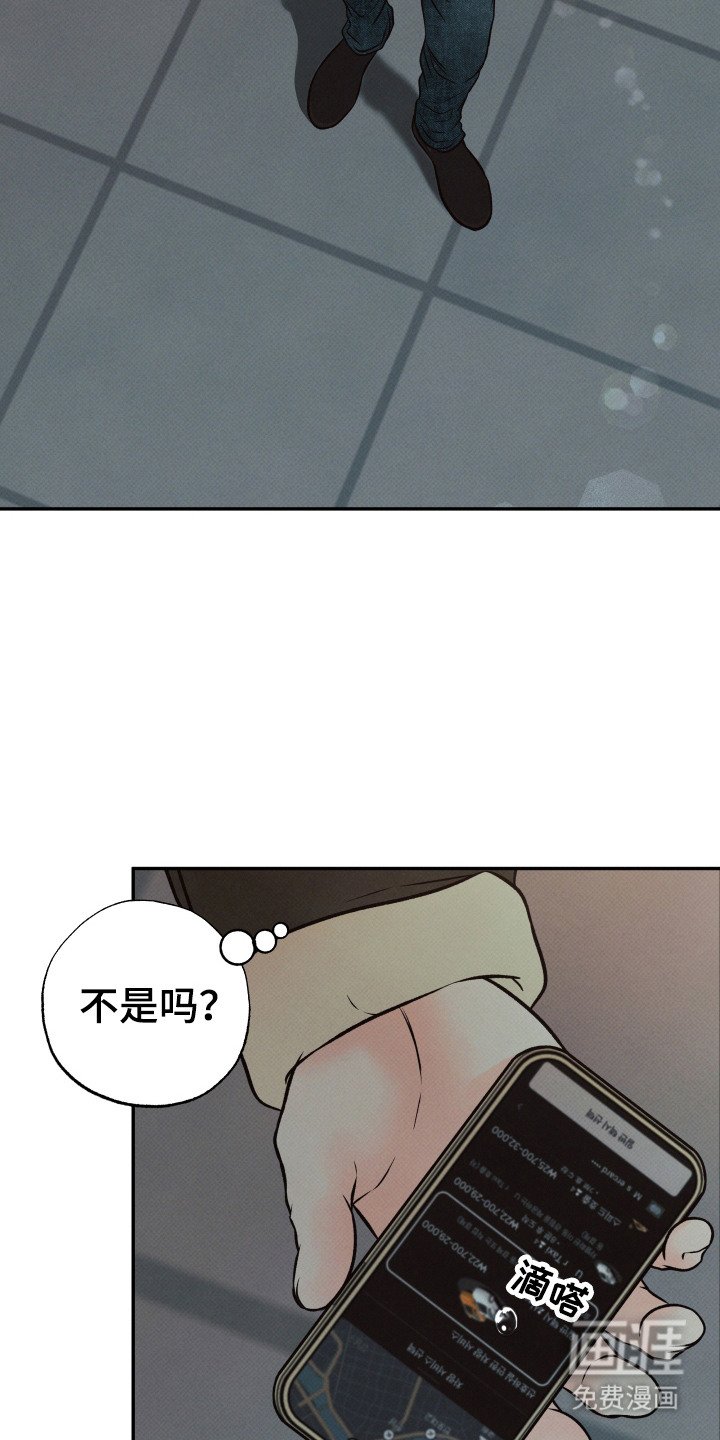 第8章： 看着