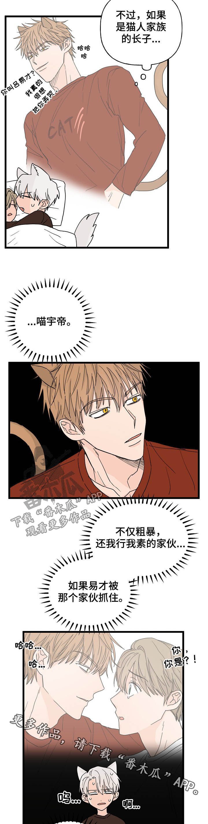 第11章：诅咒